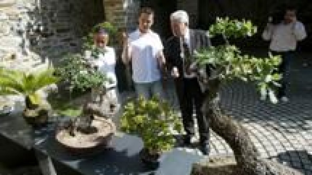 El director del museo, Jesús Courel, Rubén Ciézar y el concejal Manuel Rodríguez, ayer entre bonsáis