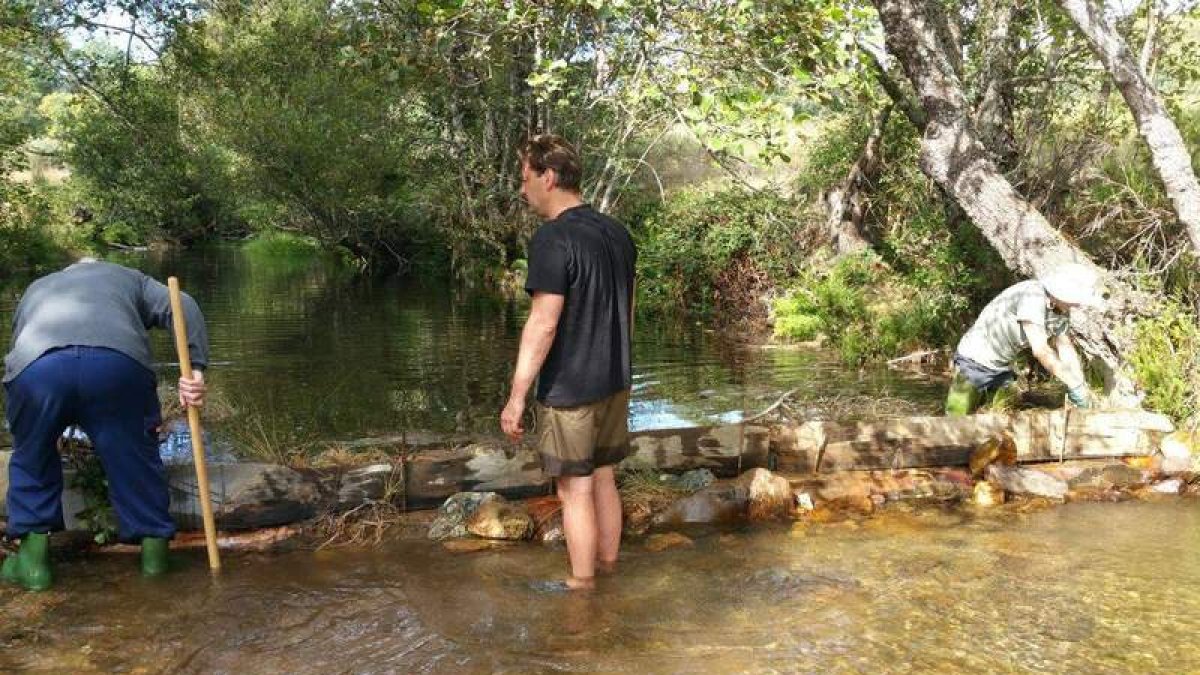 Las actuaciones por mantener la biodiversidad también se han desarrollado en el río Eria. DL