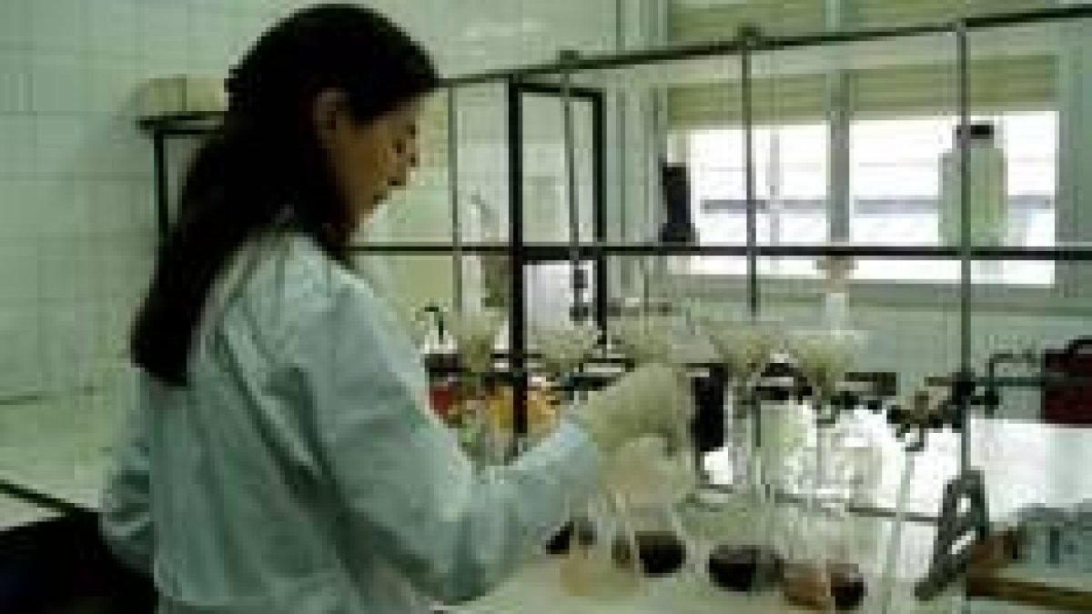 La mujeres ocupan pocos puestos de alta responsabilidad en la investigación científica