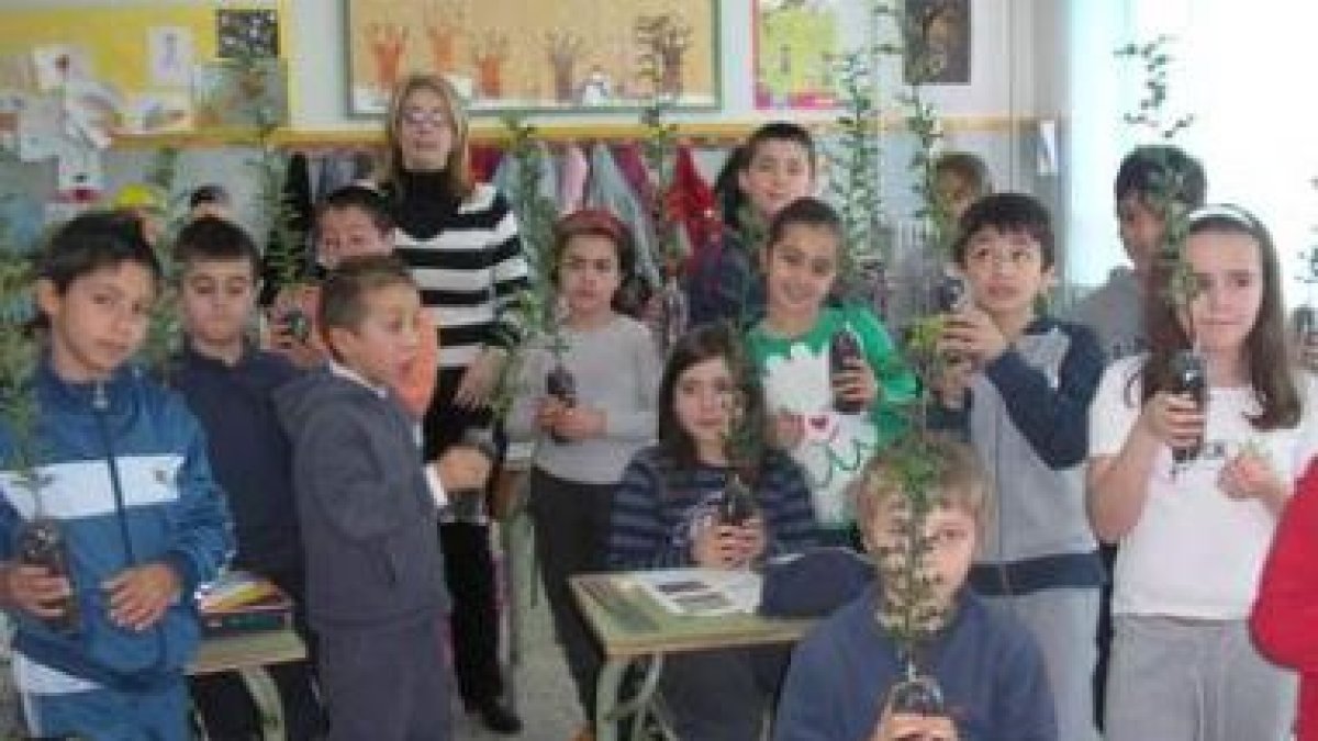 Un grupo de alumnos del colegio de Cistierna tras recibir los árboles de acebo.