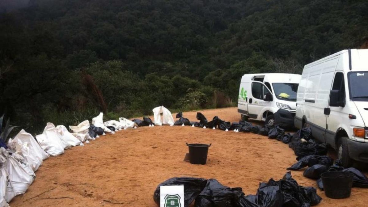 El depósito ilegal con cadáveres de perros y gatos localizado en la cala Salionç, en Tossa de Mar.