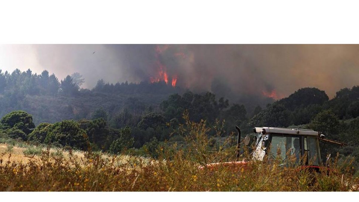 Un tractor traza un cortafuegos cerca del incendio en la cercanías de Palaciosmil