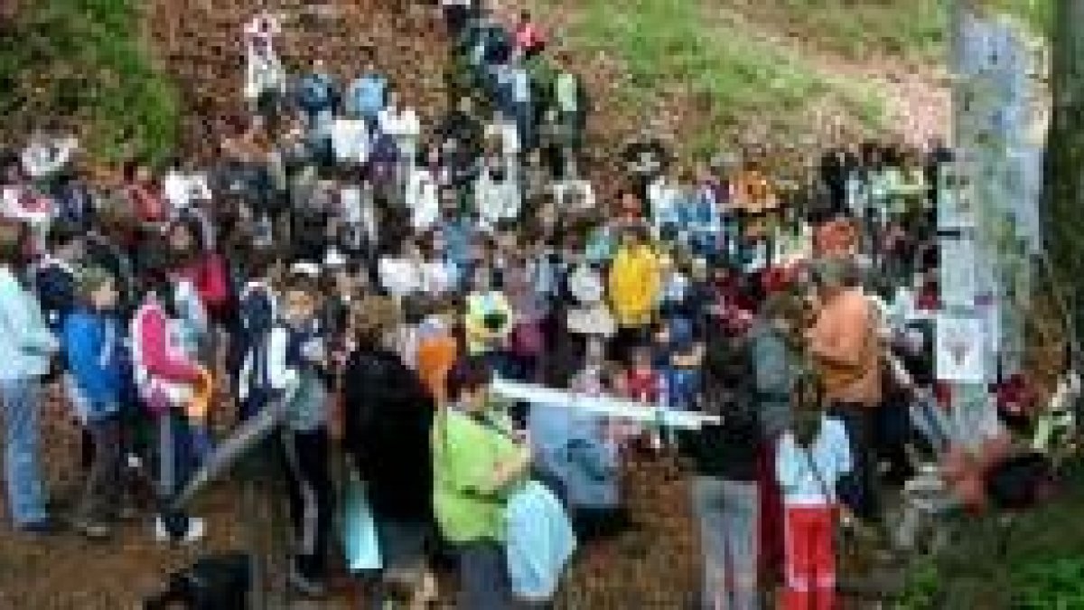 Más de un centenar de niños de los colegios de la zona asistieron al paraje del Faedo en Ciñera