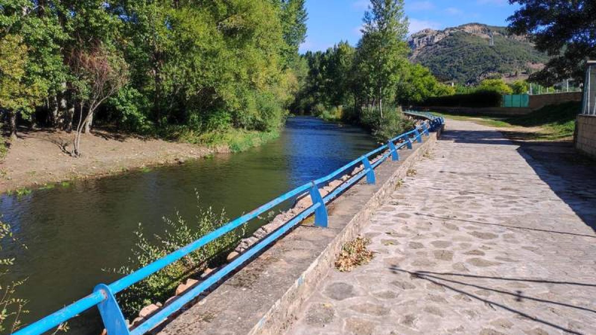 La actuación se ha realizado en la margen izquierda del cauce. DL