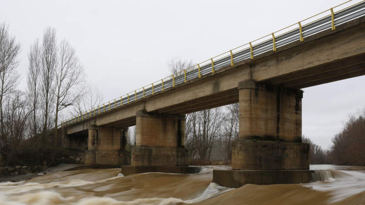 El Bernesga, ayer en Alija, aguas abajo de León. FERNANDO OTERO