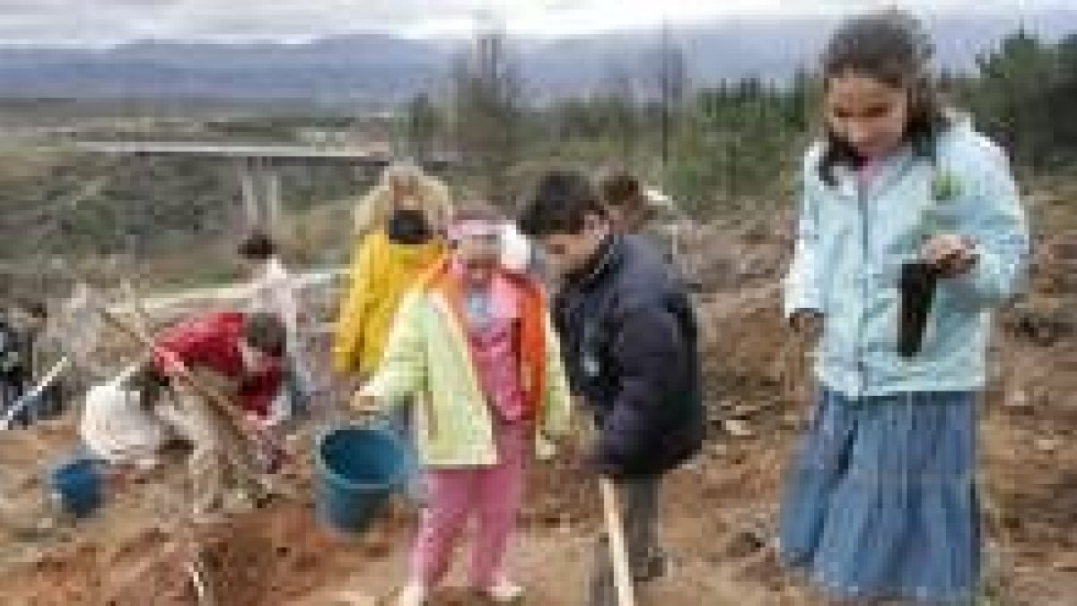 Los escolares participarán en el plan de reforestación de Cacabelos