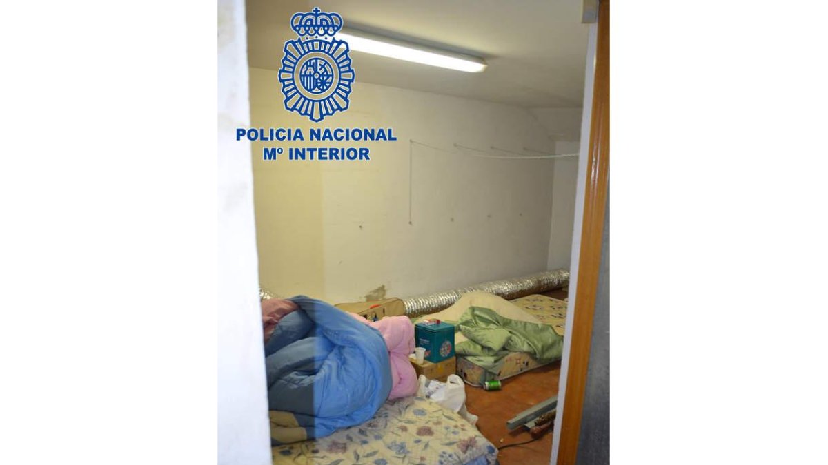 Fotografías facilitadas por la policía del interior de las viviendas y el enganche ilegal a la luz. DL