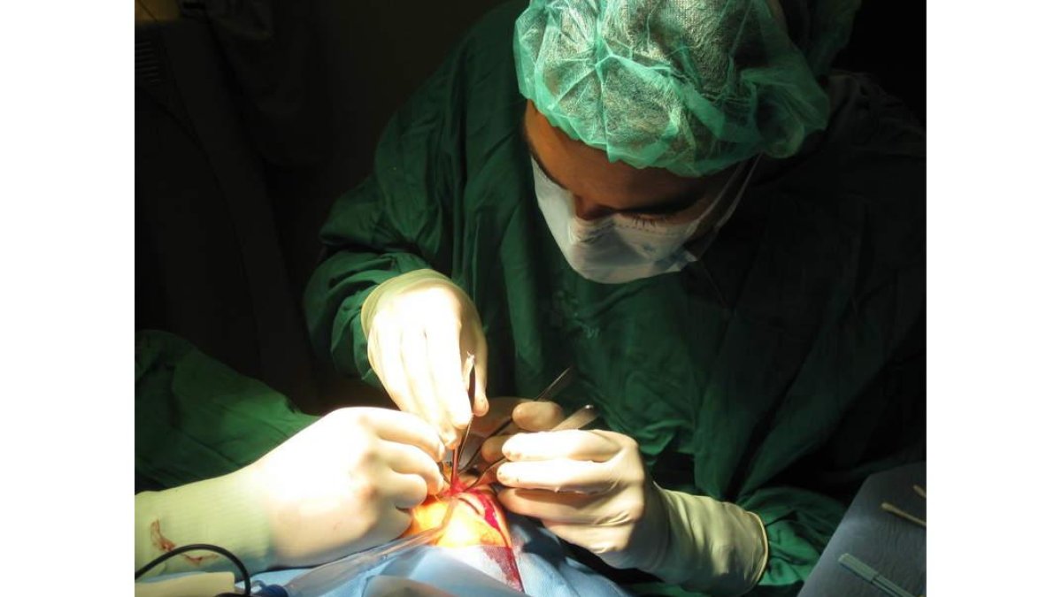 Operación de un párpado en los quirófanos de Oftalmología del Hospital de León.