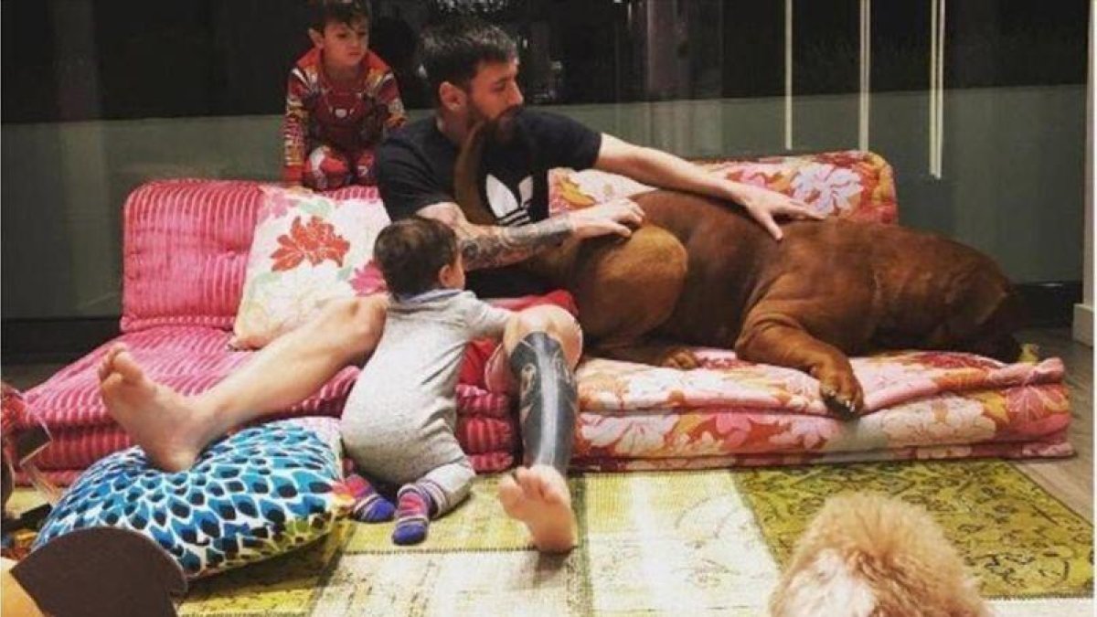 Messi, rodeado de sus hijos y sus perros en casa.
