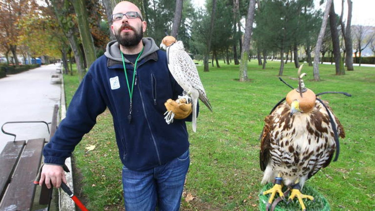 Imagen de 2009 en el Plantío con suelta de halcones. L. DE LA MATA