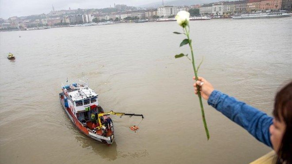 Una mujer lanza una rosa al Danubio en Budapest (Hungría).