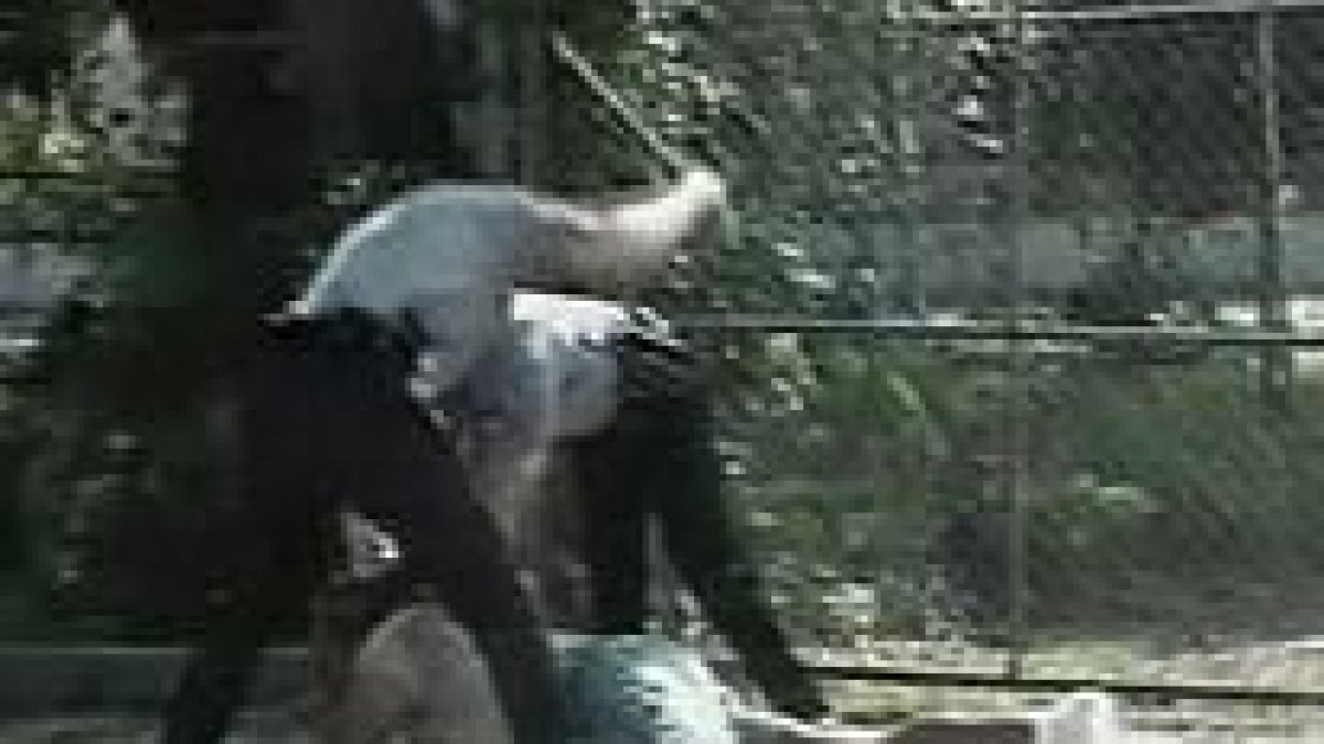 Imágenes grabadas por un videoaficionado en la que un hombre de color es golpeado por dos policías