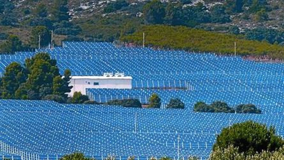 Planta solar fotovoltaica en la localidad de Beneixama (Alicante).