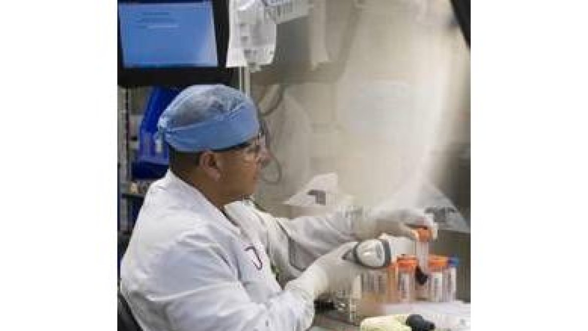 Un científico trabaja en un banco de cordón umbilicar en EE.?UU.