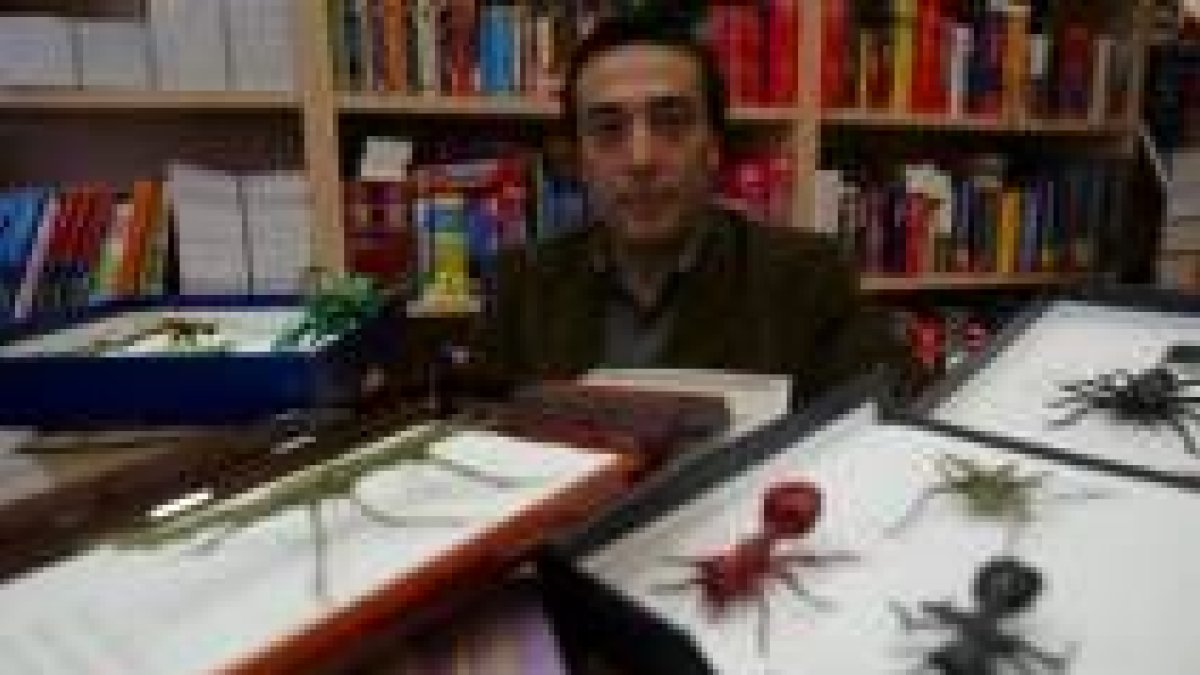 El experto en papiroflexia Manuel Sirgo, en la librería Artemis junto a varias de sus «criaturas»