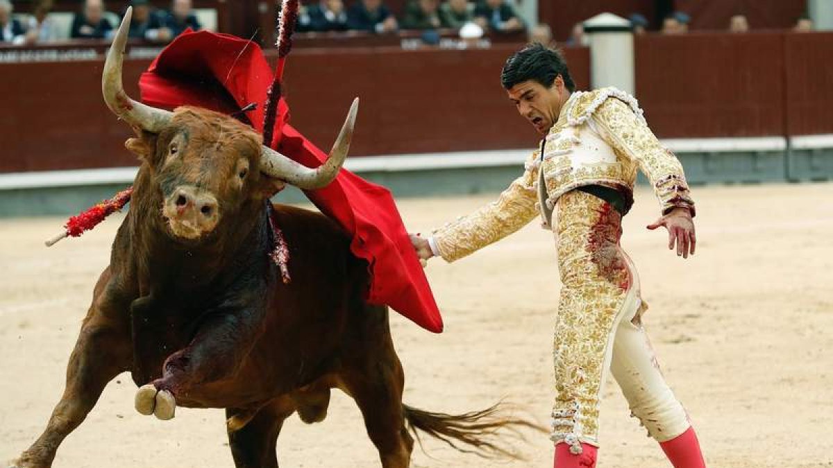 El diestro sevillano Pablo Aguado, en una reciente corrida en la feria de San Isidro. J.P. GANDUL