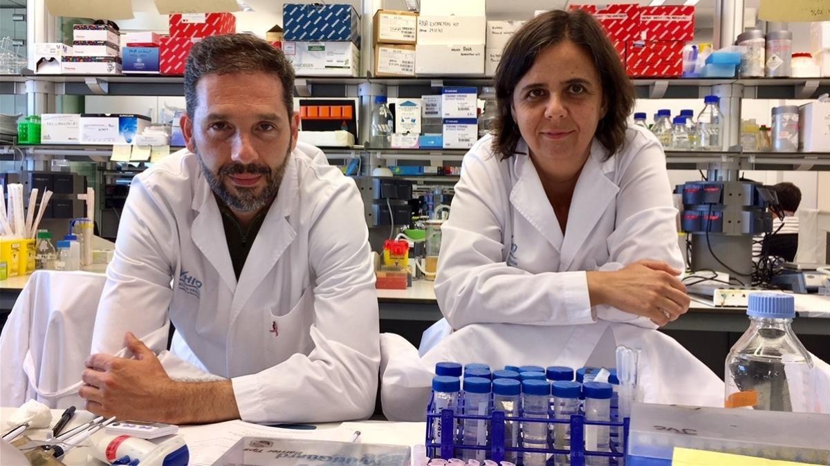 Los doctores Josep Villanueva y Olga Méndez, responsables del hallazgo. /