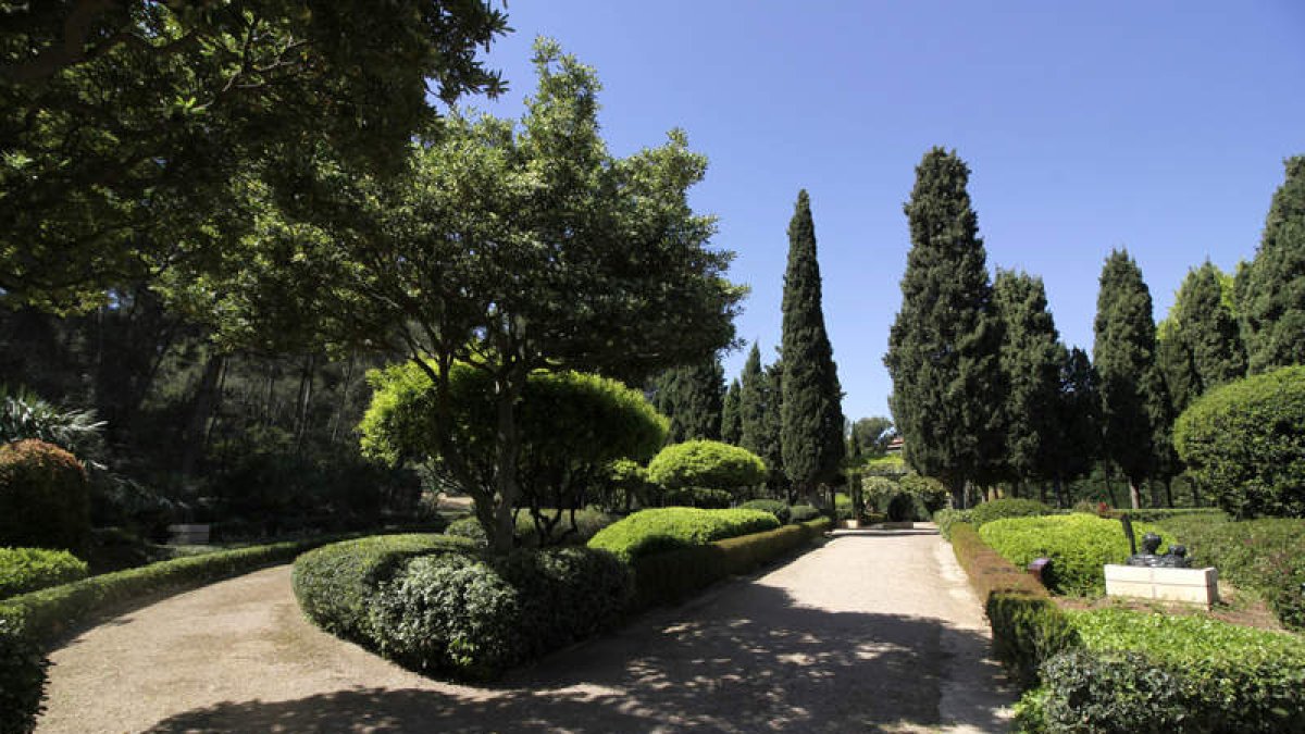 Lo más destacable de los jardines del Palacio de Marivent  es sin duda su valor botánico, cultural e histórico. J. GRAPELLI