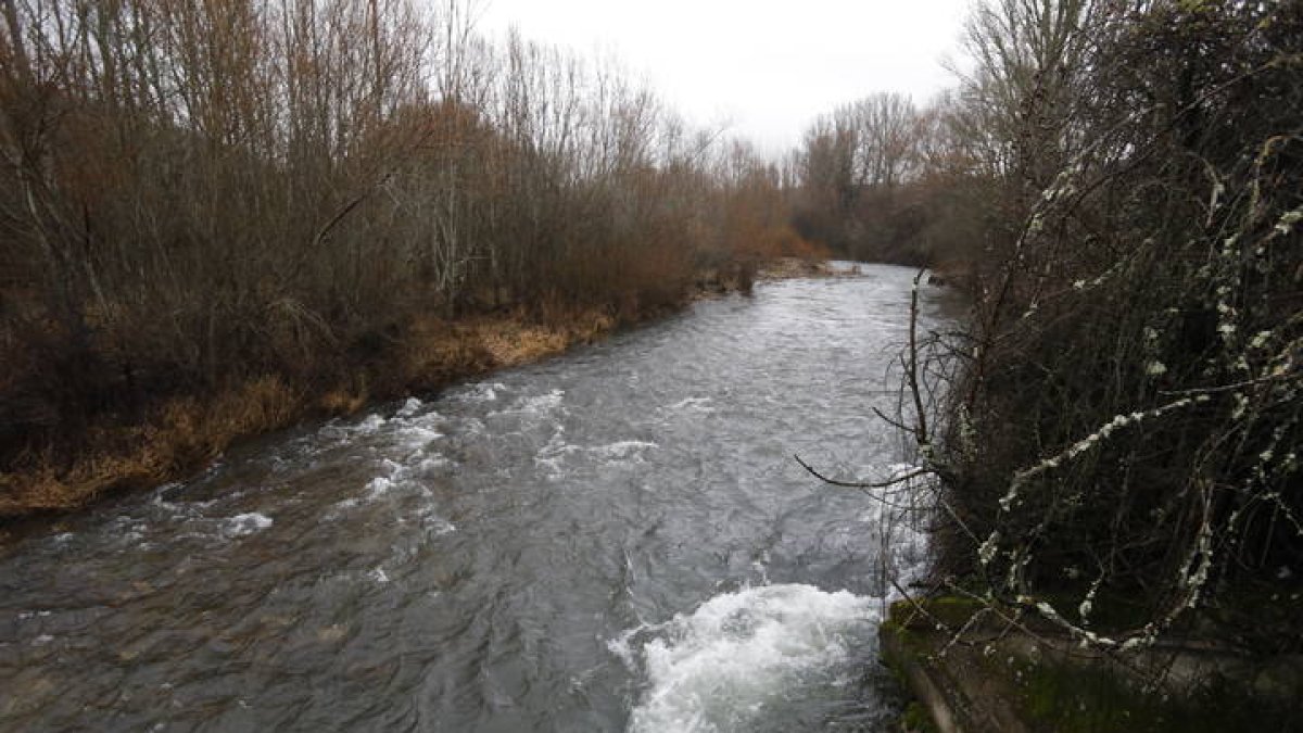 El río Torío está en alerta amarilla. RAMIRO