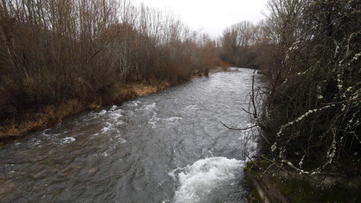 Cauce del río Torío en Manzaneda de Torío. RAMIRO