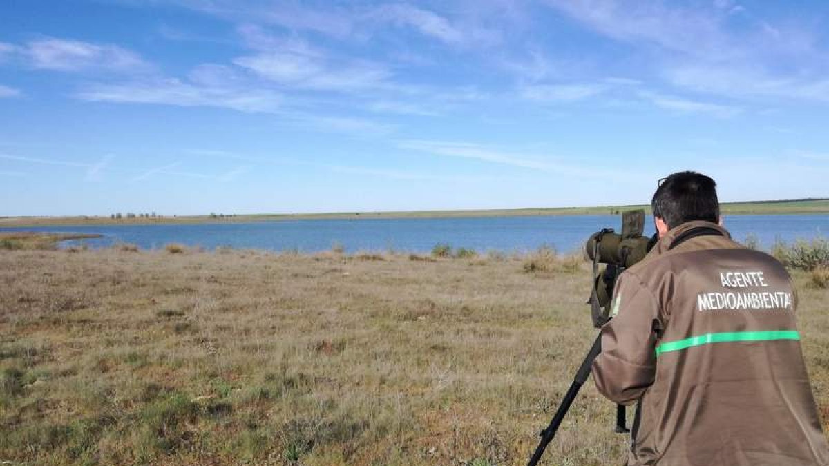 Una agente medioambiental visionando aves. DL