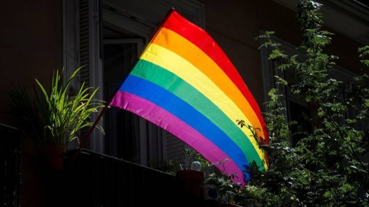 La bandera arcoiris, icono del colectivo LGTBI+. DL