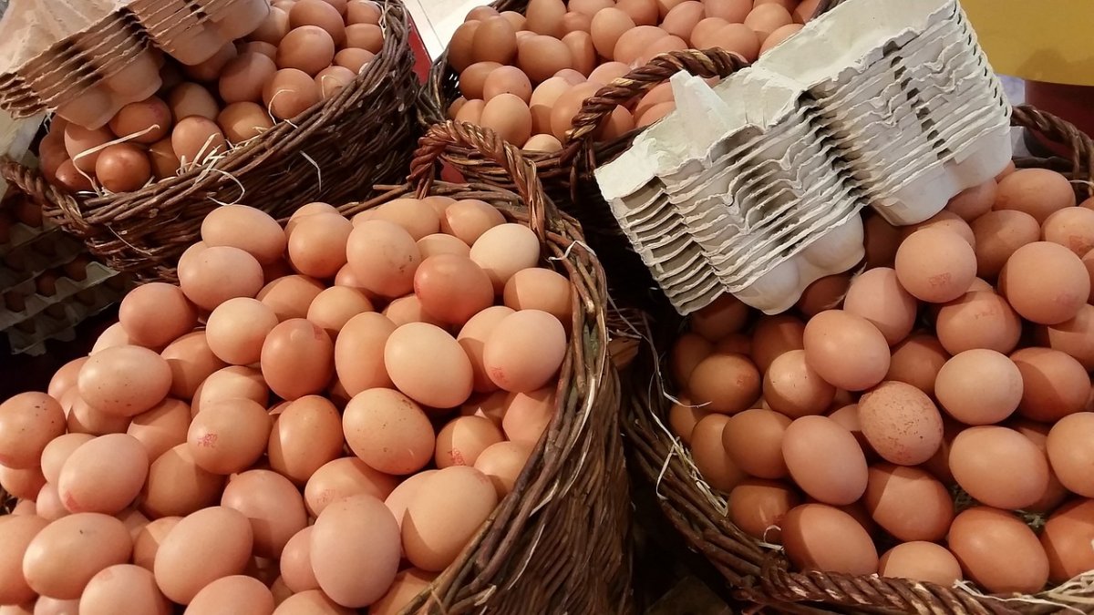 Huevos en una tienda para su venta al público