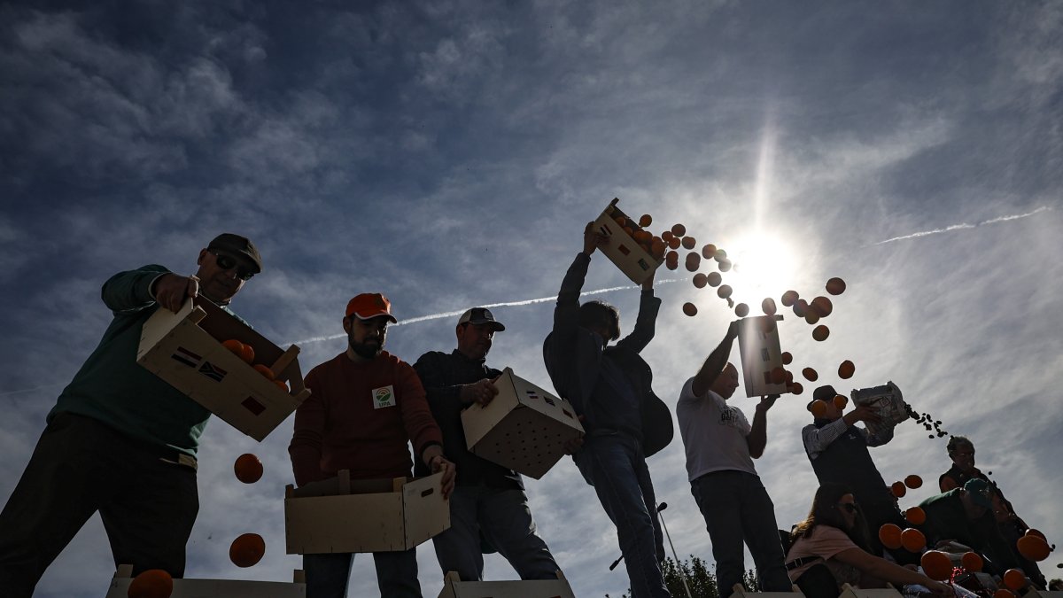 Los agricultores arrojan verduras al suelo durante la concentración en Valencia.