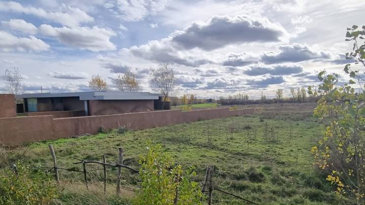 El instituto se levantará en una parcela junto al tanatorio.