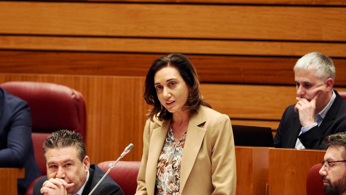 La procuradora leonesista Alicia Gallego, durante el pleno de las Cortes