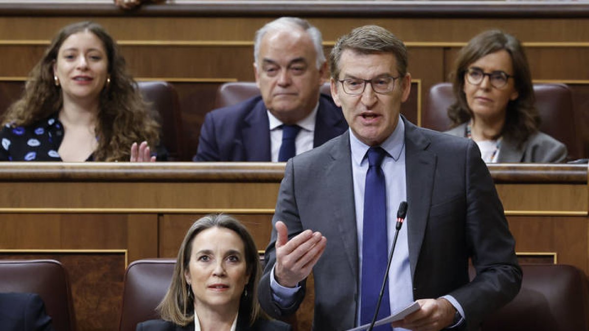 El líder del PP, Alberto Núñez Feijóo, interviene durante la sesión de control al Gobierno, este miércoles en el Congreso.