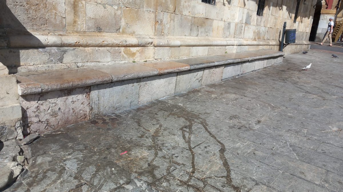 Un rincón del Húmedo junto a la Playa Mayor lleno de orines.