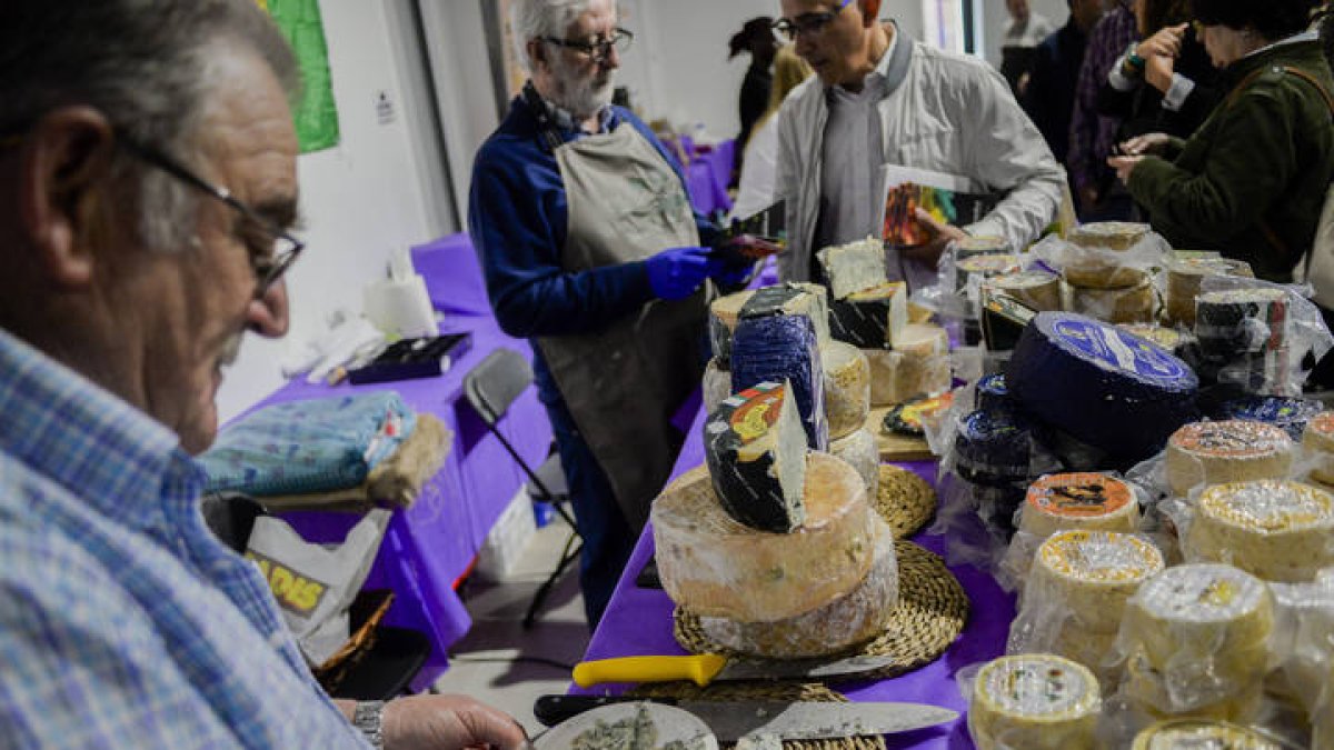 El centro Expocoyanza acoge desde este sábado hasta el domingo la tercera edición de Iberqueso, la feria del queso de España y Portugal, con 27 productores.