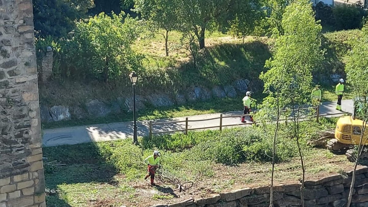 El Burbia y el paseo del río con los trabajos de limpieza en los últimos días a su paso por Villafranca del Bierzo.