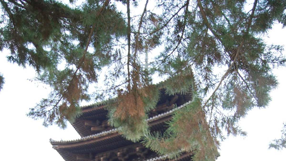 La histórica pagoda de madera de Nara. EFE/Isabel Conde