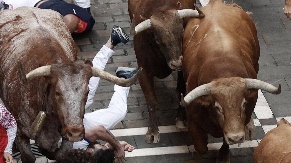 Los toros de la ganadería de Domingo Hernández Martín a su paso por la calle Estafeta, en el quinto encierro de los Sanfermines este jueves en Pamplona. EFE/Jesús Diges