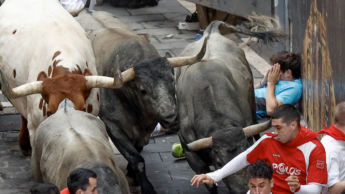 Los mozos son perseguidos por los toros de la ganadería abulense de José Escolar Gil durante el séptimo encierro de los Sanfermines 2024 este sábado en Pamplona. EFE/Villar López