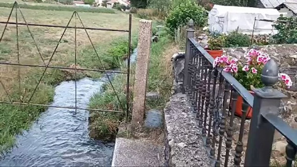 Recuperan un osezno en Barniedo de la Reina con quemaduras por un incendio