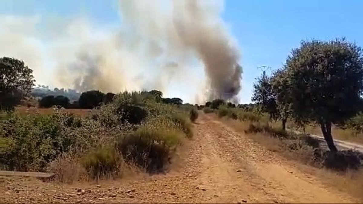 El incendio de Castrillo de los Polvazares alcanza el nivel 2 y obliga a desalojar Piedralba y Oteruelo