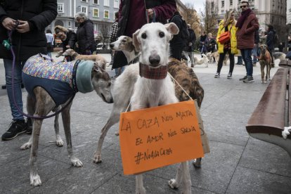 Decenas de personas acompañadas por sus perros durante una protesta en Santander. ROMÁN G. AGUILERA