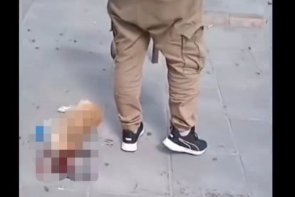 Fotograma de un vídeo que muestra el momento posterior al brutal asesinato del animal. TWITTER