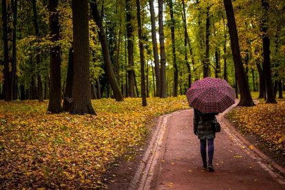 Astenia otoñal León: qué es, síntomas y cómo prevenirlo Foto: Pexels