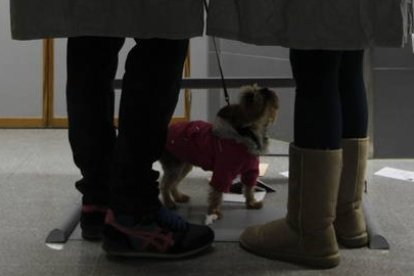 Una pareja elige papeleta dentro de una cabina junto con su perro en un colegio electoral de La Virgen del Camino en las elecciones municipales de 2019. JESÚS F. SALVADORES