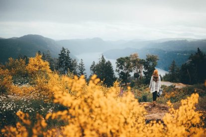 Ponferrada turismo rural: Guía para tu escapada rural en un fin de semana Foto: Pexels