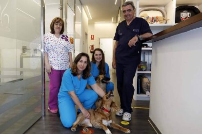 El equipo del Centro San Marcos de Intermediación Veterinaria. MARCIANO PÉREZ