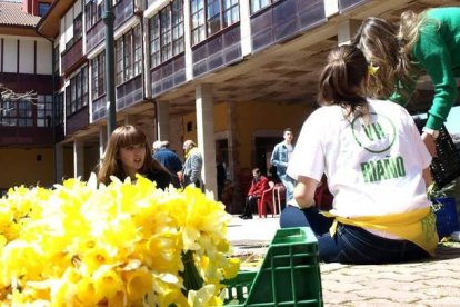 Fiesta del Capilote en Riaño: Historia, concursos y su flor. Foto de archivo