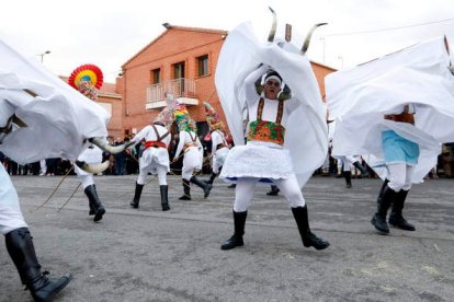 La fiesta más importante tiene lugar el domingo a las 16.30 horas en Velilla de la Reina. JESÚS F. SALVADORES