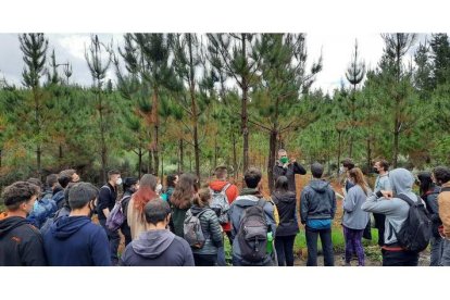 Alumnos de forestales durante una de las actividades que llevan a cabo en su formación. DL