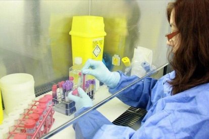 Una investigadora del Idibaps del Hospital Clínic trabaja en un laboratorio del centro.