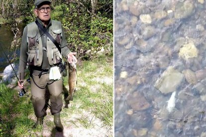 Manuel de la Fuente con un ejemplar de 3 kilos en el Pereje. A la derecha, un ejemplar muerto en el río. DL